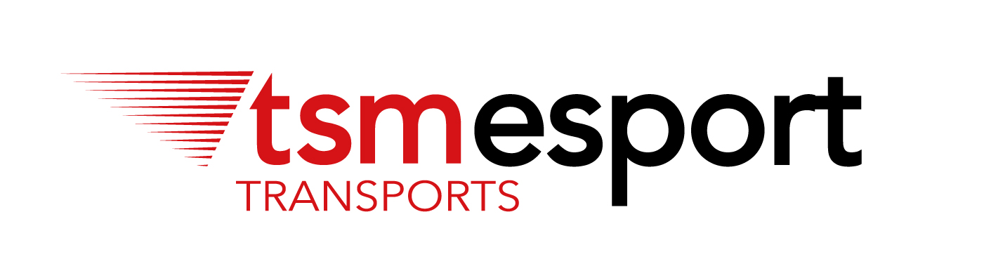 Logo ESPORT